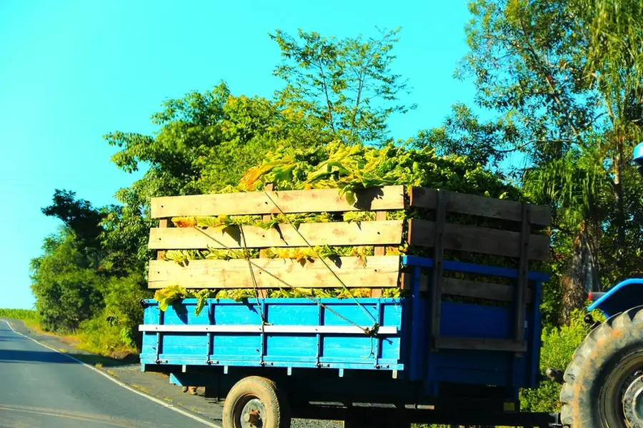How Hauling Services Handle Bulky And Oversized Items Safely in Ellenwood GA